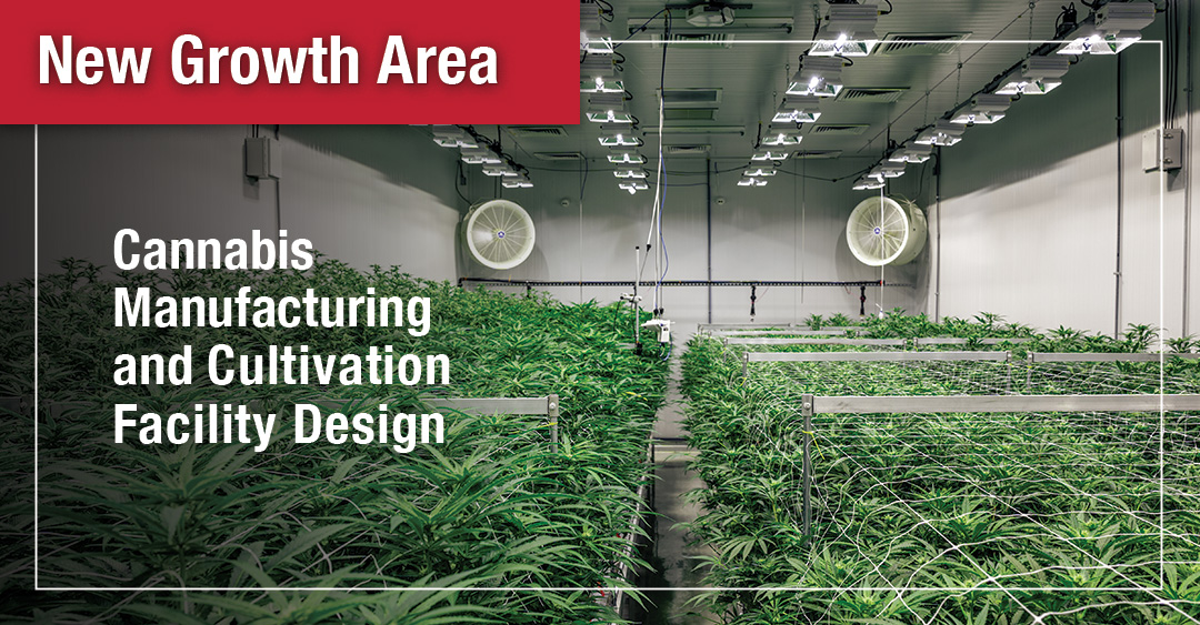 DIGroup Meets Need for Cannabis and New Agriculture Design Image